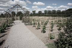 Killikus&reg; Fotographie